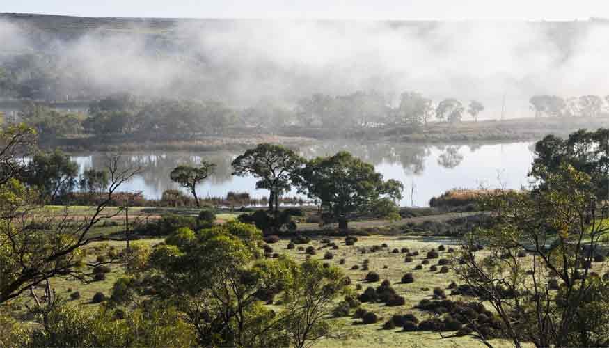 Riverview Rise Retreats Mannum Exterior foto